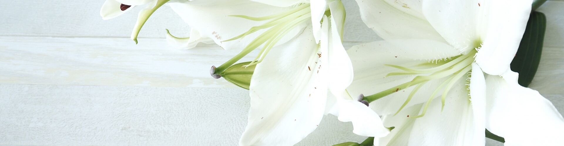 虹のホールはまだ